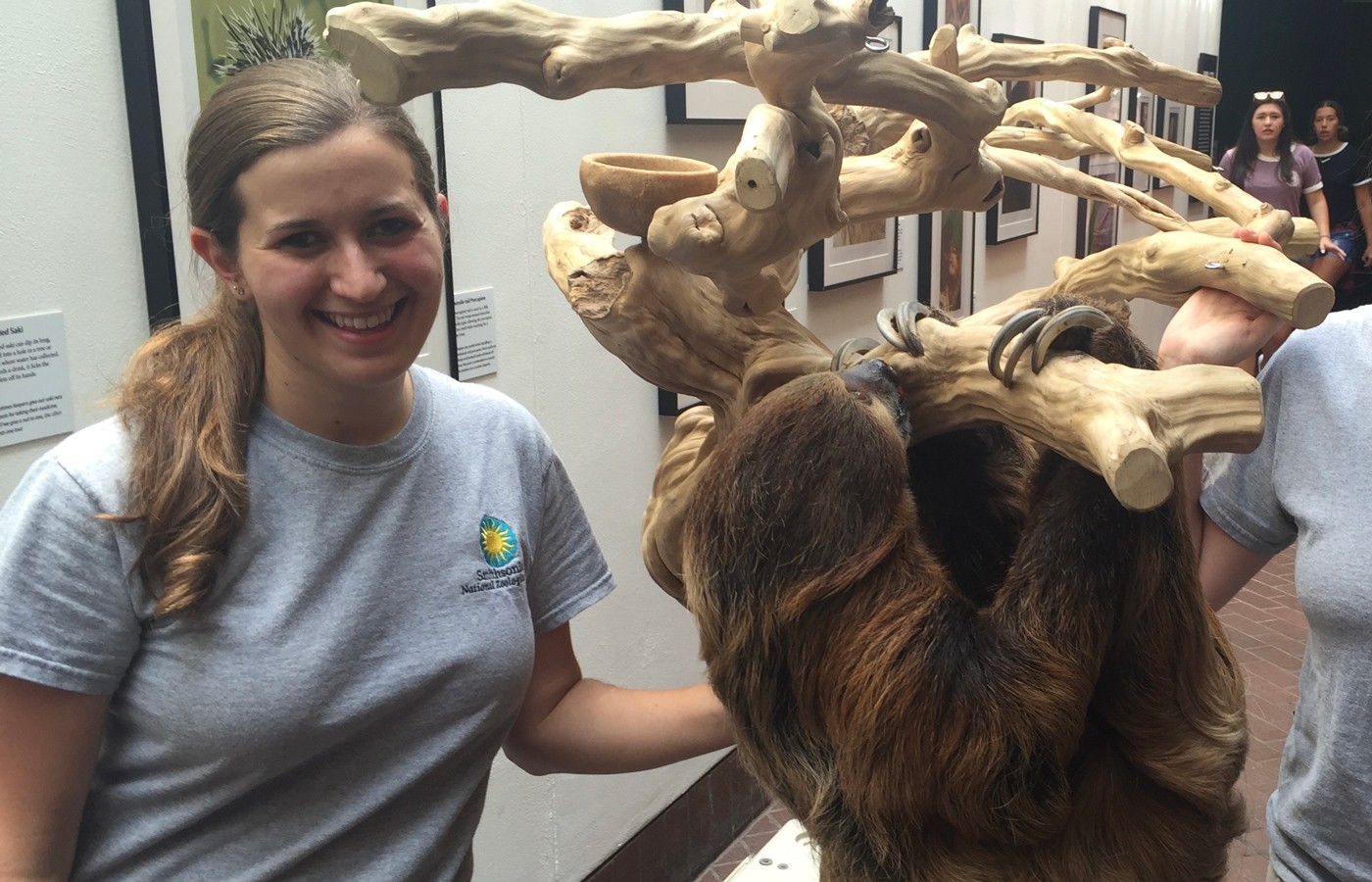 A zookeeper poses with a sloth.