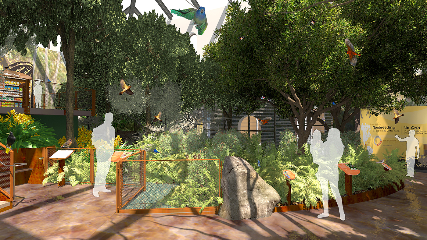 Songbird Aviary: Bird Friendly Coffee Farm Experience Migration exhibit shade-grown coffee aviary rendering
