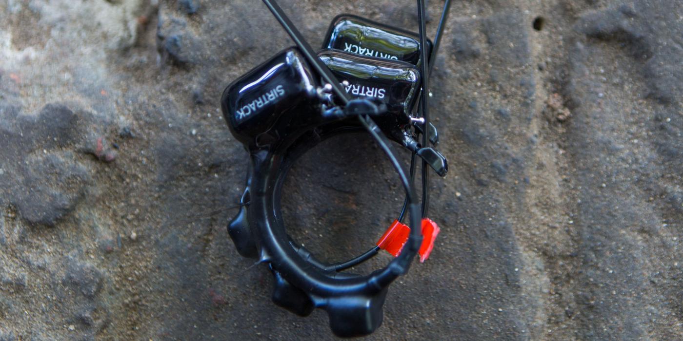 Flying fox GPS tracking collar.