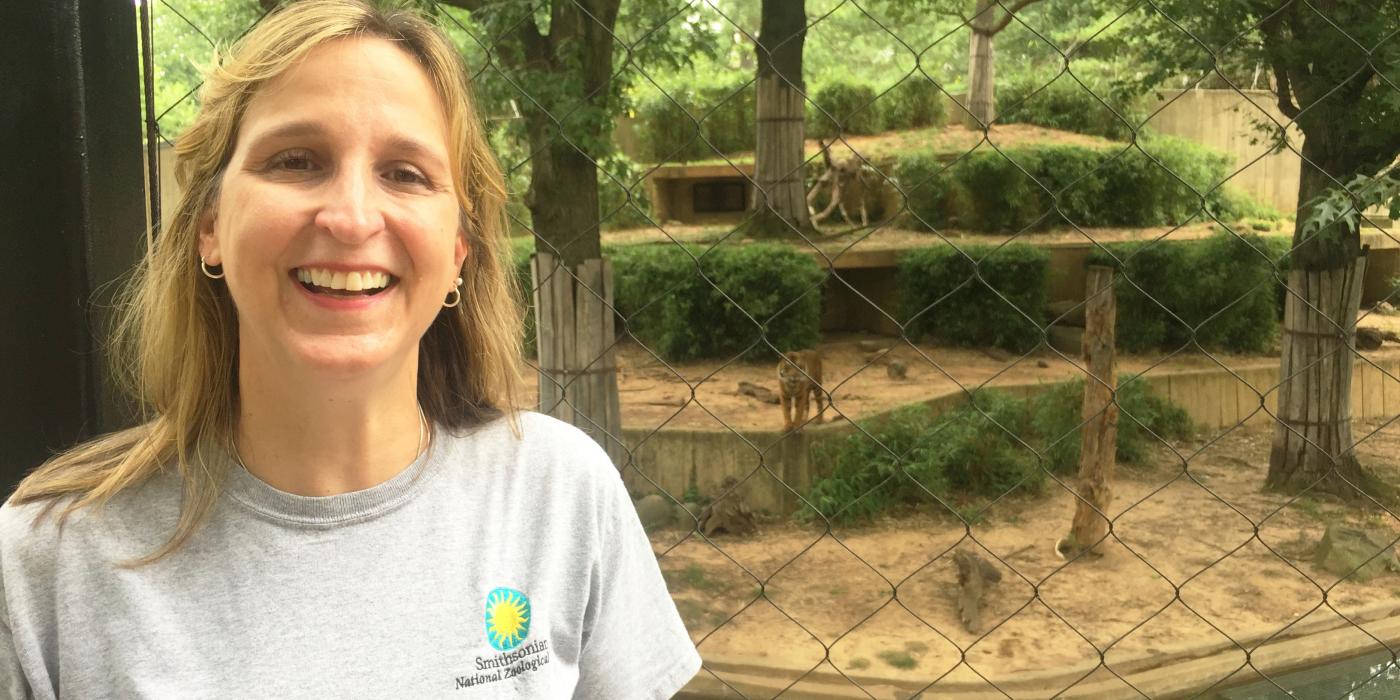 Animal keeper Dell Guglielmo gives a tiger keeper talk.