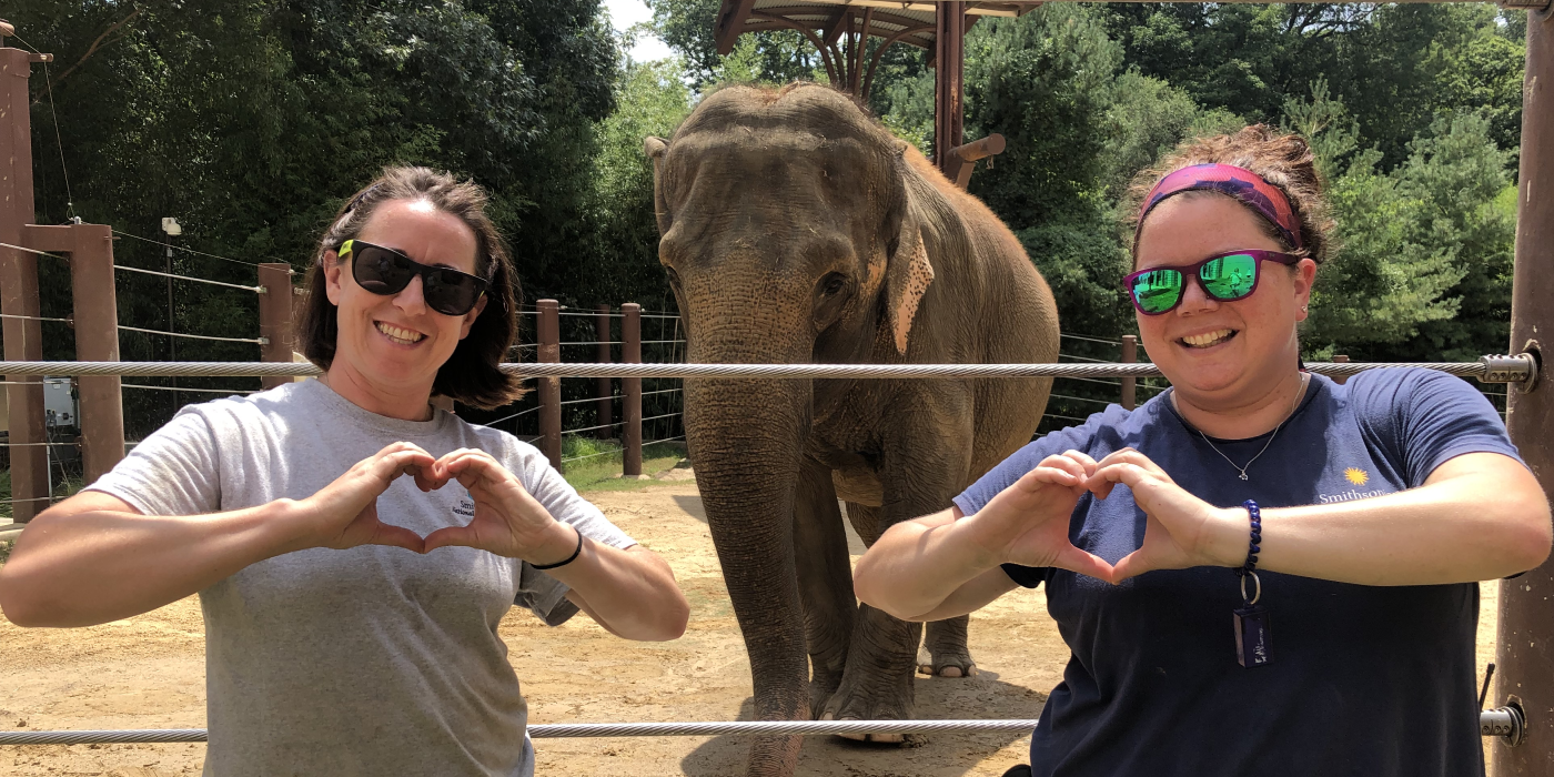 Keeper Rebecca Riley (left) and Becca Spickler (right) stand in front of female Asian Elephant Swarna (behind, center). The keepers are holding their hands up in a heart shape.
