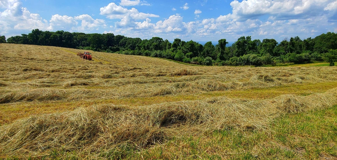 Hay field in Virginia.