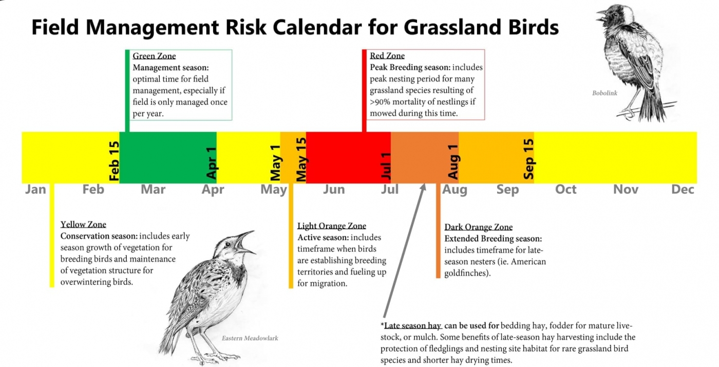Virginia Working Landscapes works closely with local landowners to better understand grassland birds. They have developed a "risk calendar" (pictured here) to help landowners maintain their properties while conserving native species.