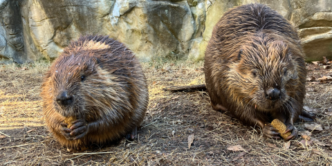 Juniper, left, and Aspen, right, sit next to each other during snacktime.