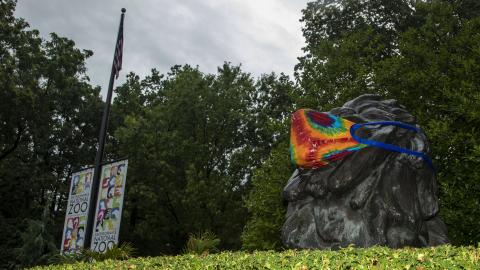 The Smithsonian's National Zoo reopened on July 24. The Smithsonian's National Zoo reopened on July 24.