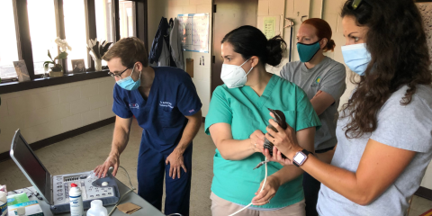Cardiac ultrasound being performed on a Guam rail.