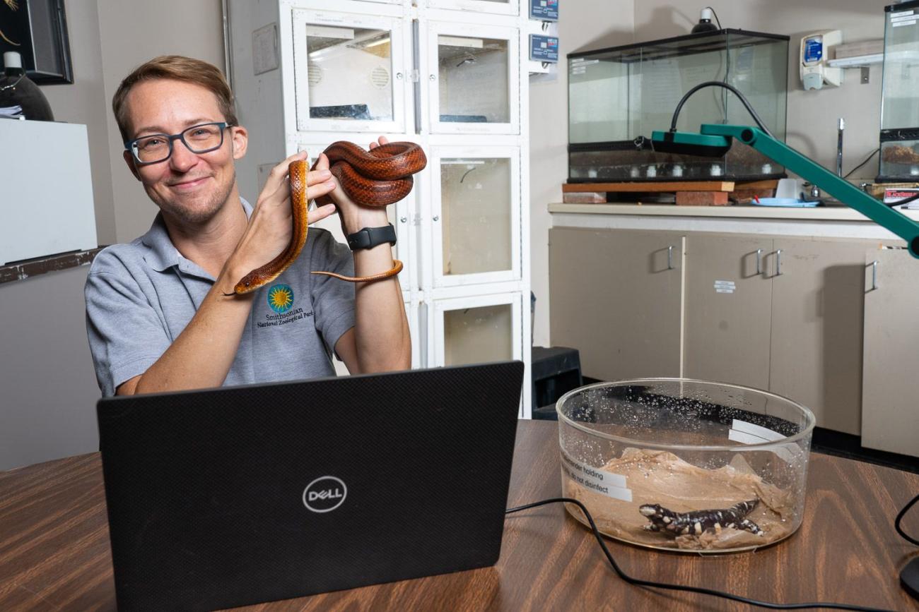 Person holding a snake sitting behind a computer