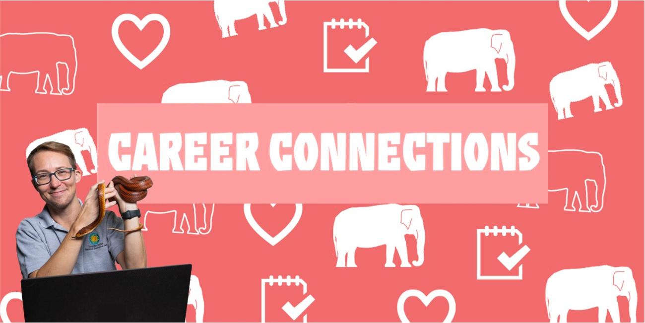 Career Connections title on a pink background with white elephant, heart, and notebook icons. On top is a person holding a red rat snake, sitting in front of a laptop screen.