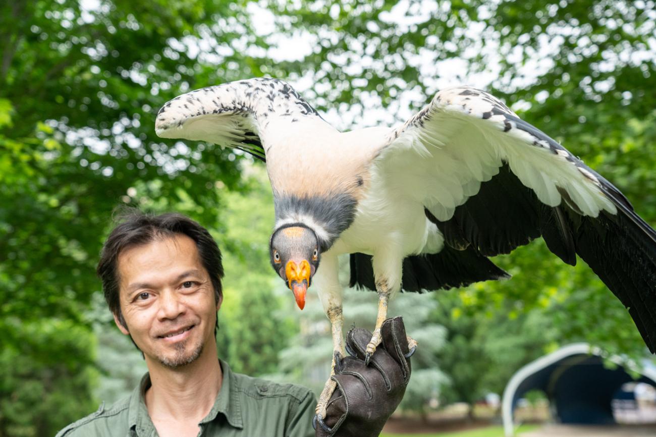 A bird behaviorist (Phung Luu) holds a large vulture-like bird with its wings outstretched