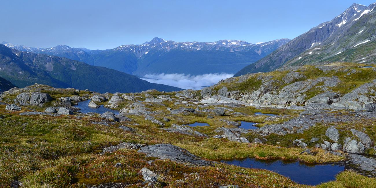 Canadian mountains