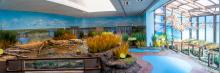 In the second aviary, visitors will cross into the Prairie Pothole region of the northern Great Plains to view species of waterfowl and shorebirds—including ducks and black-necked stilts—while learning the importance of the wetlands. In the second aviary, visitors will cross into the Prairie Pothole region of the northern Great Plains to view species of waterfowl and shorebirds—including ducks and black-necked stilts—while learning the importance of the wetlands.