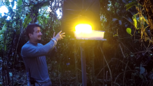 Smithsonian researcher turning on one of the traps used in the study. Smithsonian researcher turning on one of the traps used in the study.