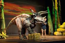 “Erth’s Dinosaur Zoo Live” takes audiences on a prehistoric journey into a new dimension where they get to meet a menagerie of insects and dinosaurs that roamed the planet millions of years ago. Featuring larger-than-life dinosaur puppets brought to life by sophisticated design and theatrical presentation and puppet mastery, these amazingly life-like dinosaur recreations connect children to paleontology. Photo Credit: C. Waits A life-sized triceratops on stage.