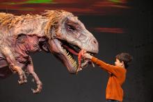 “Erth’s Dinosaur Zoo Live” takes audiences on a prehistoric journey into a new dimension where they get to meet a menagerie of insects and dinosaurs that roamed the planet millions of years ago. Featuring larger-than-life dinosaur puppets brought to life by sophisticated design and theatrical presentation and puppet mastery, these amazingly life-like dinosaur recreations connect children to paleontology. Photo Credit: C. Waits Child feeding a life-sized T. Rex on stage.