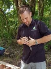 Will Pitt, deputy director of the Smithsonian Conservation Biology Institute, holds a Guam rail before releasing it to the wild on Rota. (Photo: Smithsonian Conservation Biology Institute) Guam rail before release to the wild.