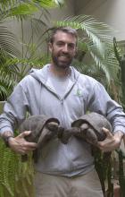 Two new juvenile Aldabra tortoises held by animal keeper, Matt Neff. The 5-year-old tortoises weigh about 11 pounds, but will grow to be several hundred pounds and live for decades. A keeper holds two Aldabra tortoises, one in each arm.
