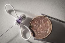 A 0.35 gram coded radio tag used to track Kirtland’s Warblers and other species in this study. A 0.35 gram coded radio tag is about the same size as a penny.