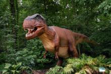 This summer, visitors to the Smithsonian's National Zoo will be able to look up and listen as the roar of a 39-foot-long T. rex joins the symphony of Zoo animal chirps, squawks and chuffs. On exhibit will also be compsognathus, dilophosaurus, parasaurolophus and babies, stegosaurus and baby, and quetzalcoatlus and babies. Photo Credit: Billings Productions Inc. A life-sized animatronic T. Rex.