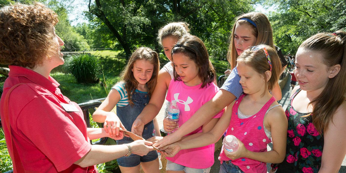 zoo guide volunteer